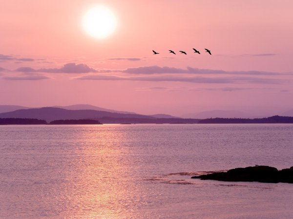 Нежно розовый закат