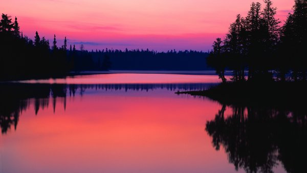 Алый свет зари Есенин