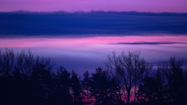 Эстетика фиолетового