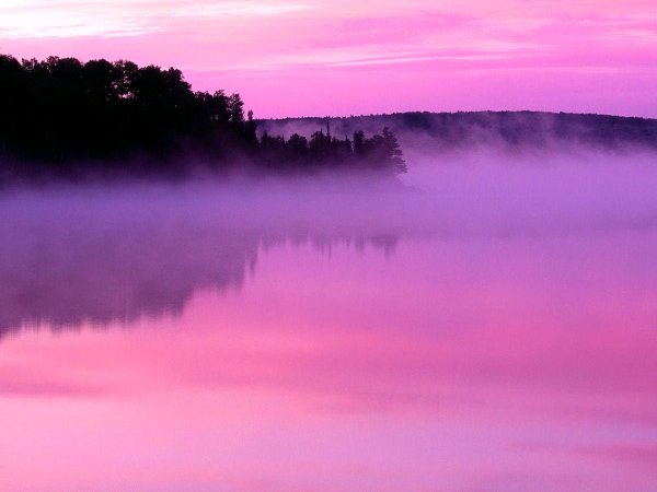 Фиолетовый туман