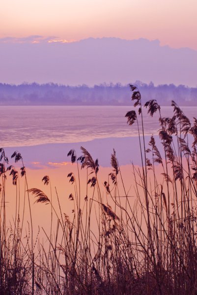 Нежный закат