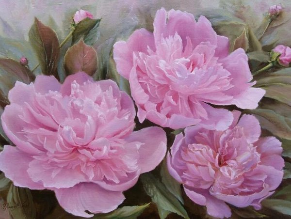 Олег Чувашев картины пионы