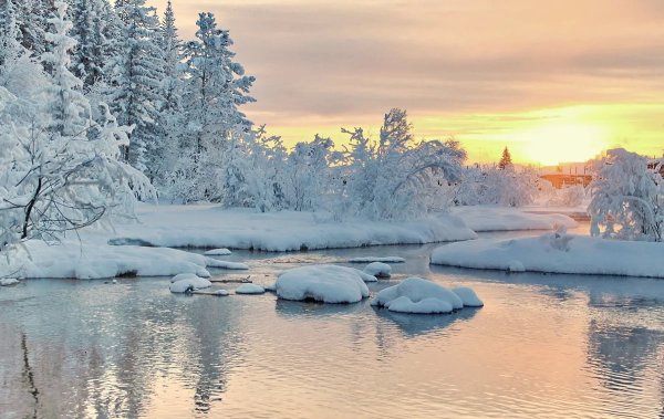 Новогодний пейзаж