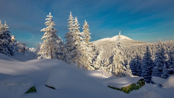 Зимняя деревня акварель
