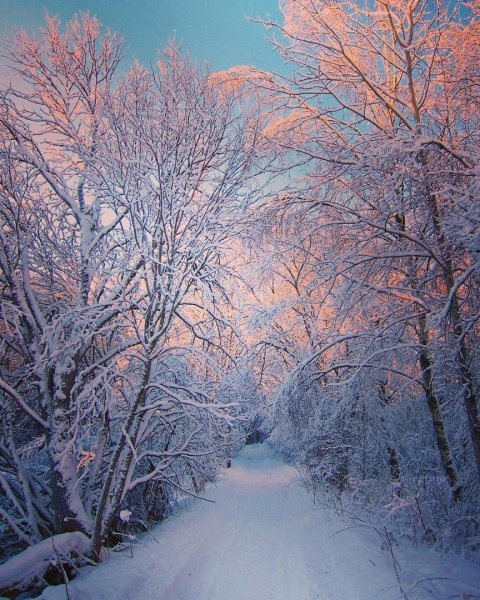 Зима маслом