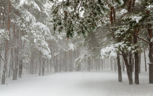 Падающий снег