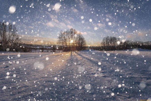 Снежная зима