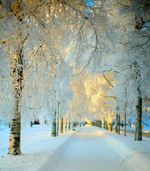 Зимний ночной пейзаж