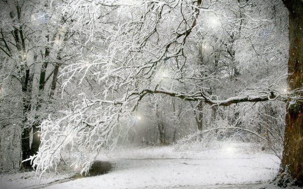 Зимний пейзаж снегопад