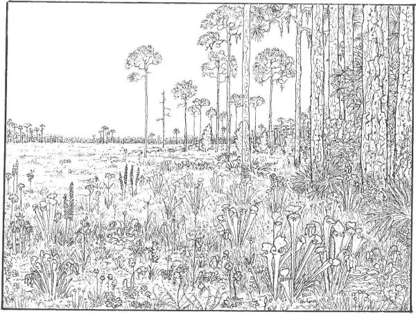 Раскраска антистресс пейзаж море