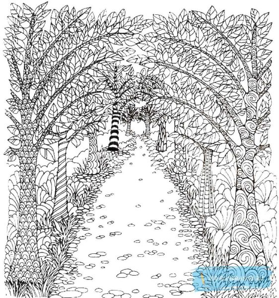 Раскраски для акварели