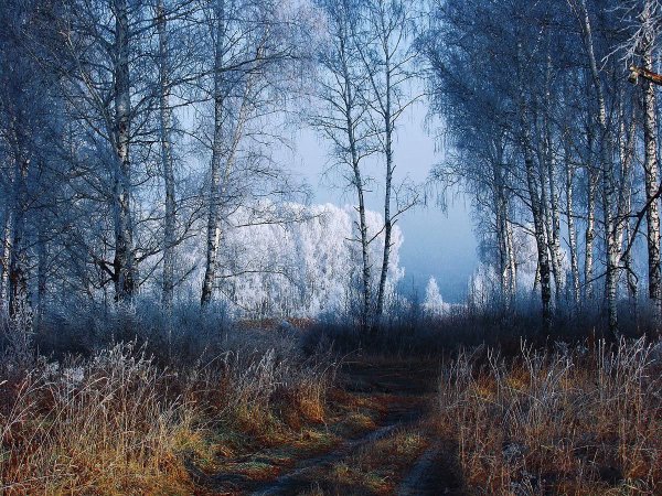 Ноябрь пейзаж