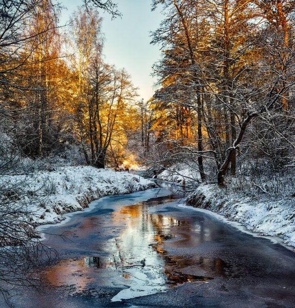 Поздняя осень