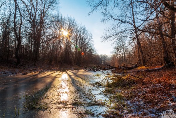 Солнечная поздняя осень