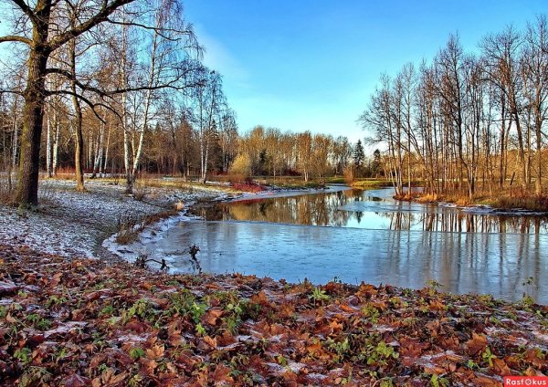 Поздняя осень пейзаж