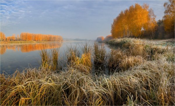 Природа в конце октября