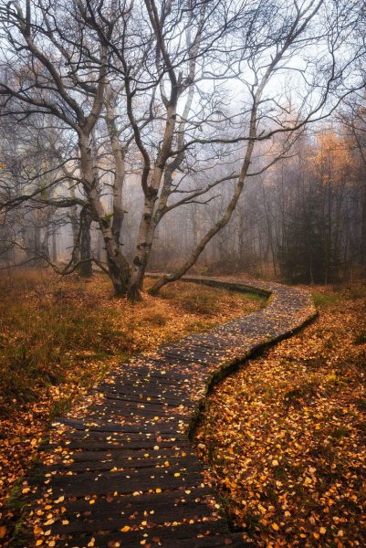 Конец осени