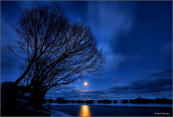 Лунная ночь весной