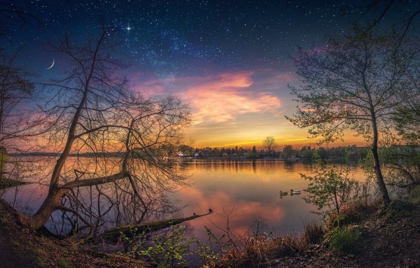 Ночная природа