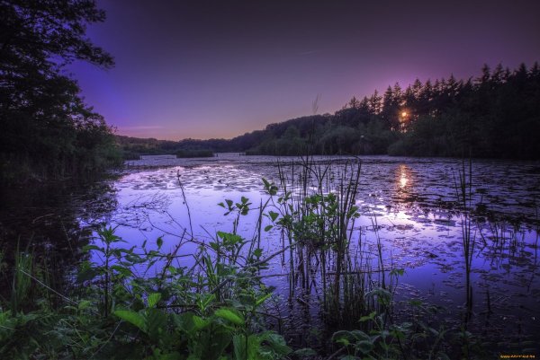 Река ночью