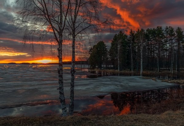 Ранняя Весна вечер