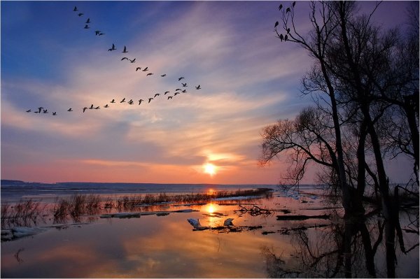 Ранняя Весна вечер