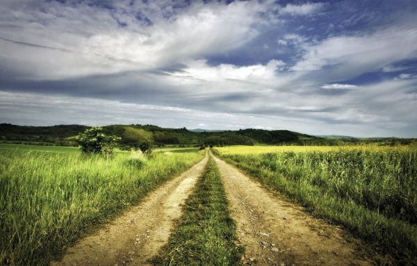 Дорога в поле