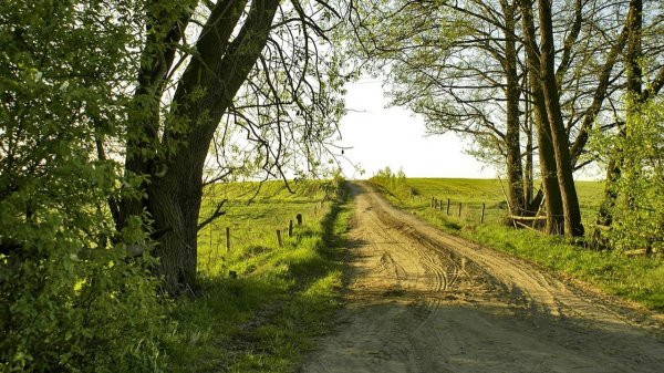 Деревня природа Проселочная дорога