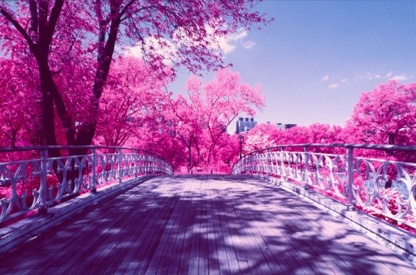 Фон для рабочего стола аниме