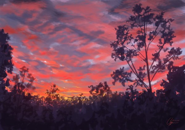 Пейзажи из аниме