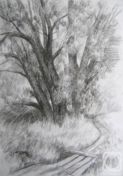 Пленэр деревья карандашом