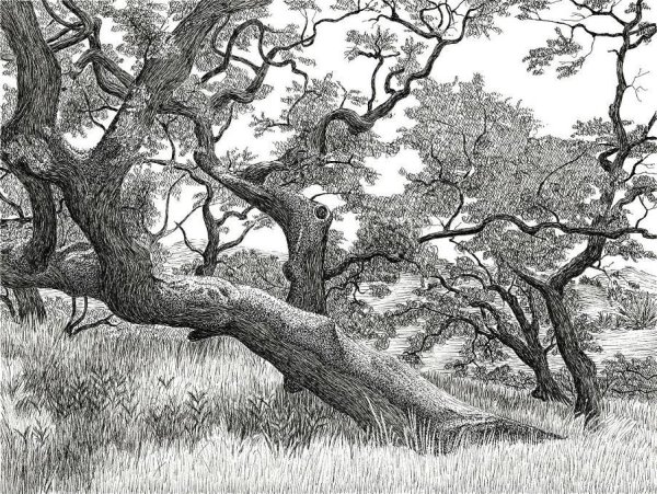 Лес в графике