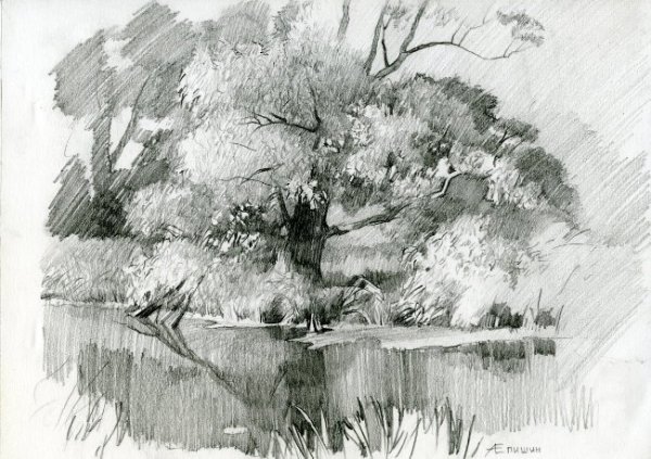 Алексей Епишин картины художника карандашом