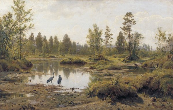 Иван Иванович Шишкин (1832-1898). "Ручей в лесу (на косогоре)". 1880 Г.