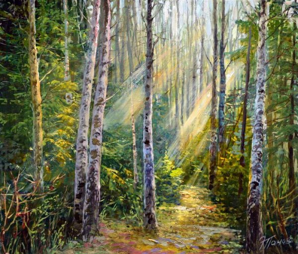 Картина Солнечный лес Андрея Бельчева