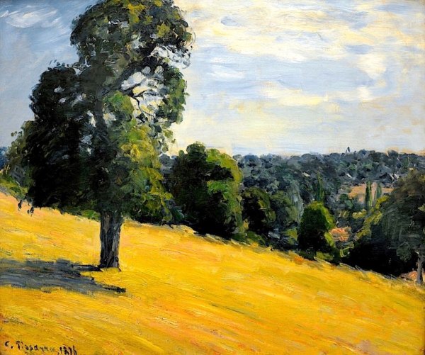 Писсарро Landscape with Flooded fields, 1873