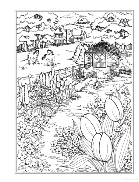 Раскраска пейзаж природы