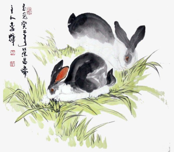Китайский заяц