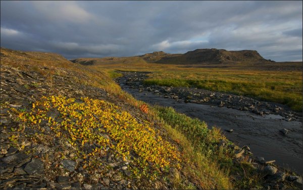 Остров Южный новая земля