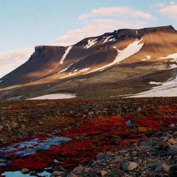 Национальный парк земля Франца Иосифа