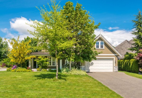 Дом на дереве