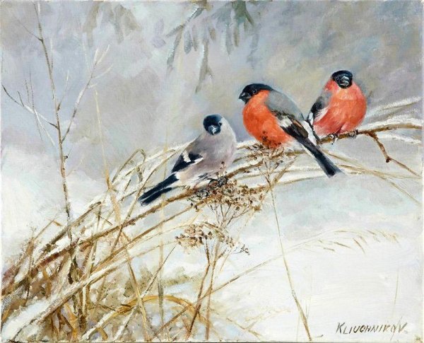Игорь Медведев Снегири живопись