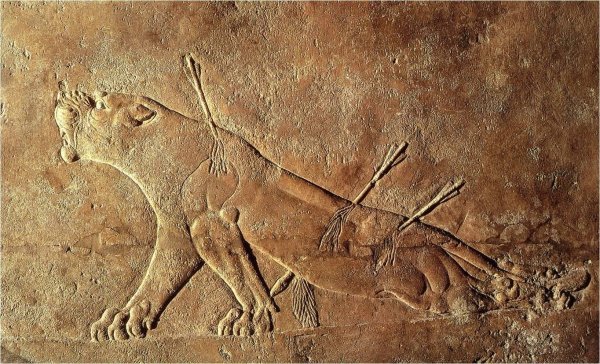 Рельеф раненая львица Ассирия