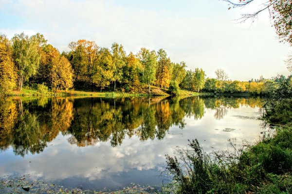 Природа Сергиева Посада