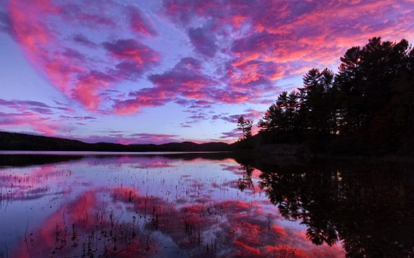 Розовый закат