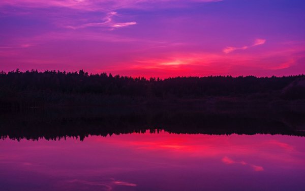 Розовое небо