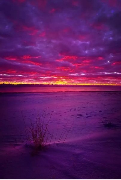 Фиолетовое небо