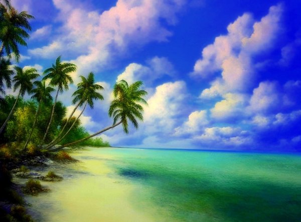 Художник Judy dy ans