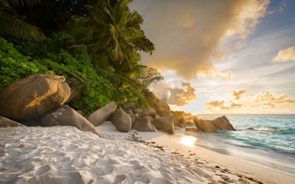 Тропический берег моря