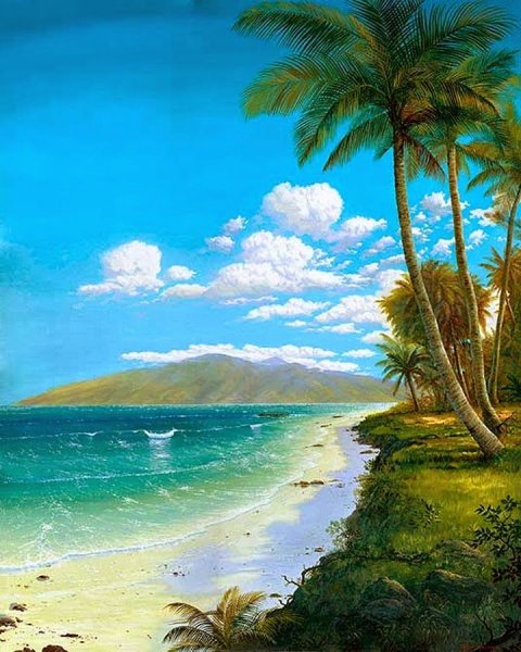 Море пляж пальмы